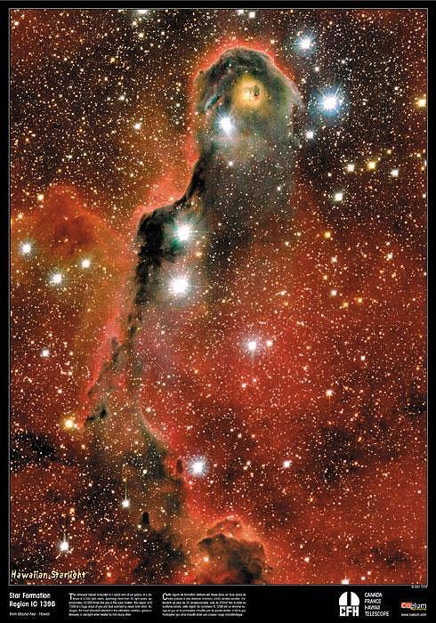 An Unusual Globule in IC 1396
