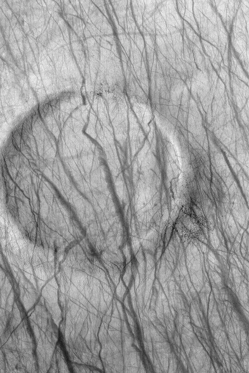 A Dust Devil Crater on Mars