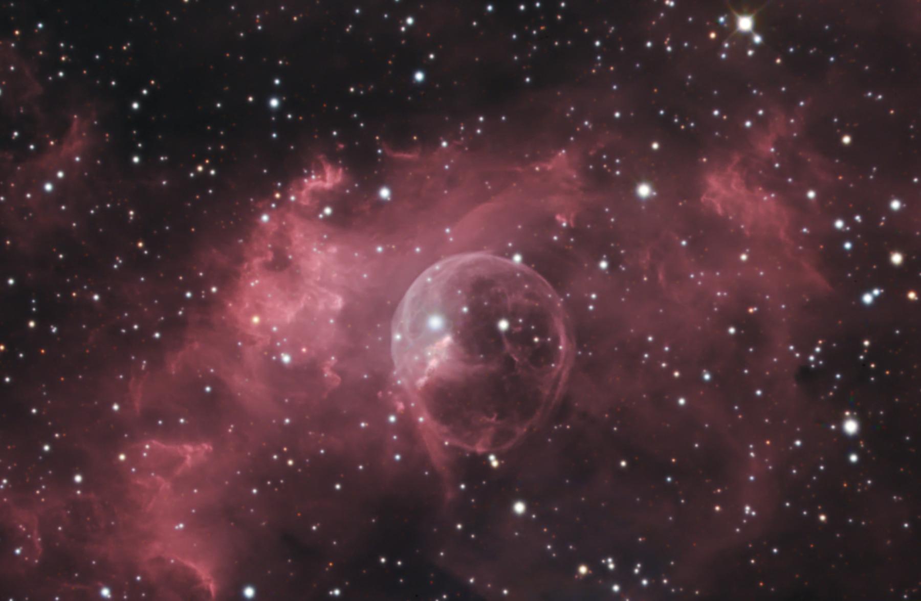 The Bubble