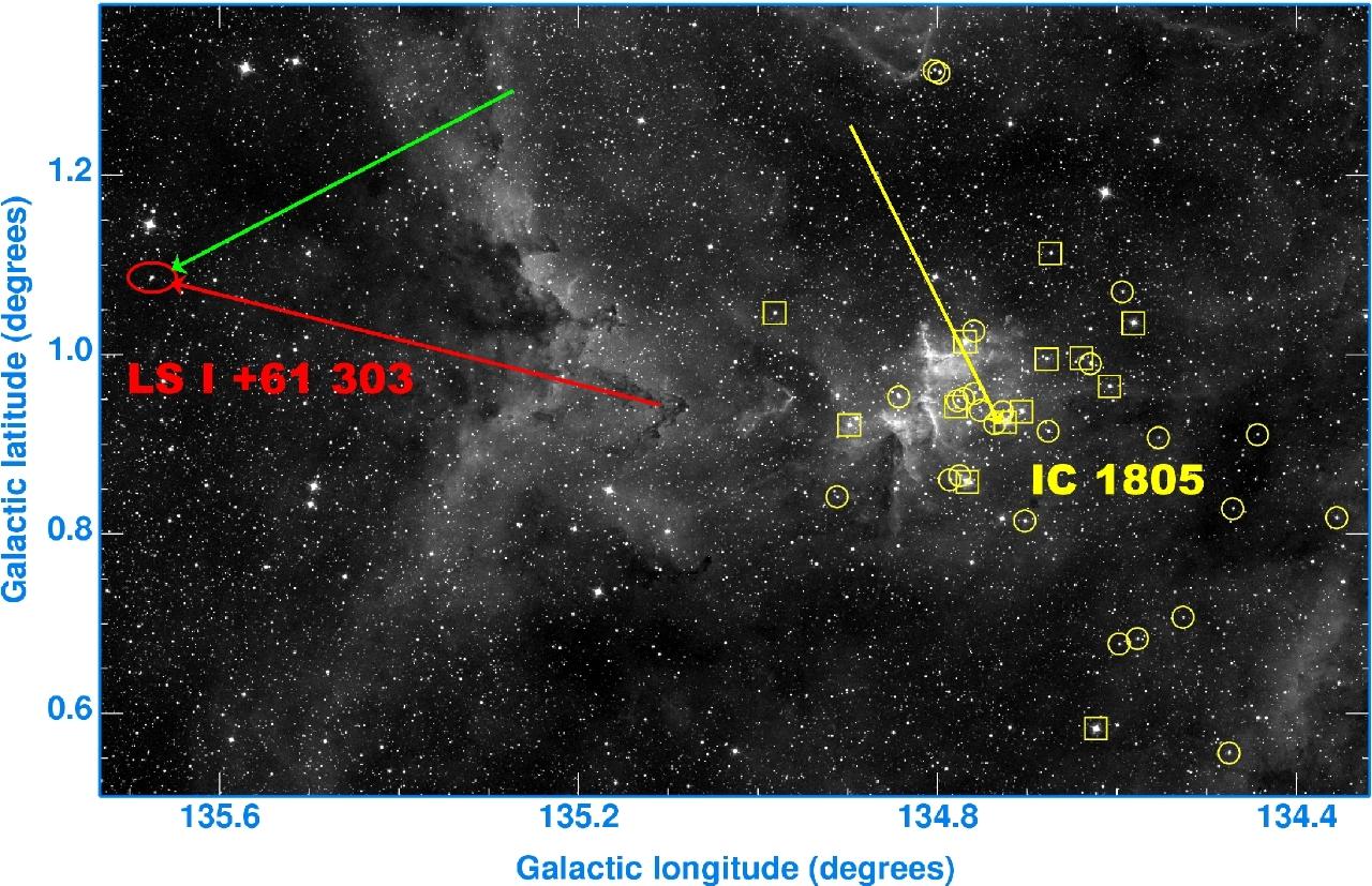Microquasar in Motion