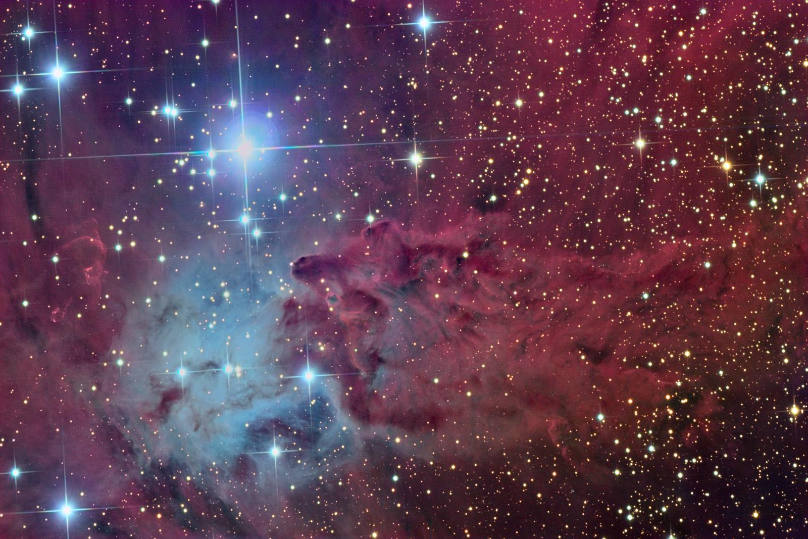 The Fox Fur Nebula
