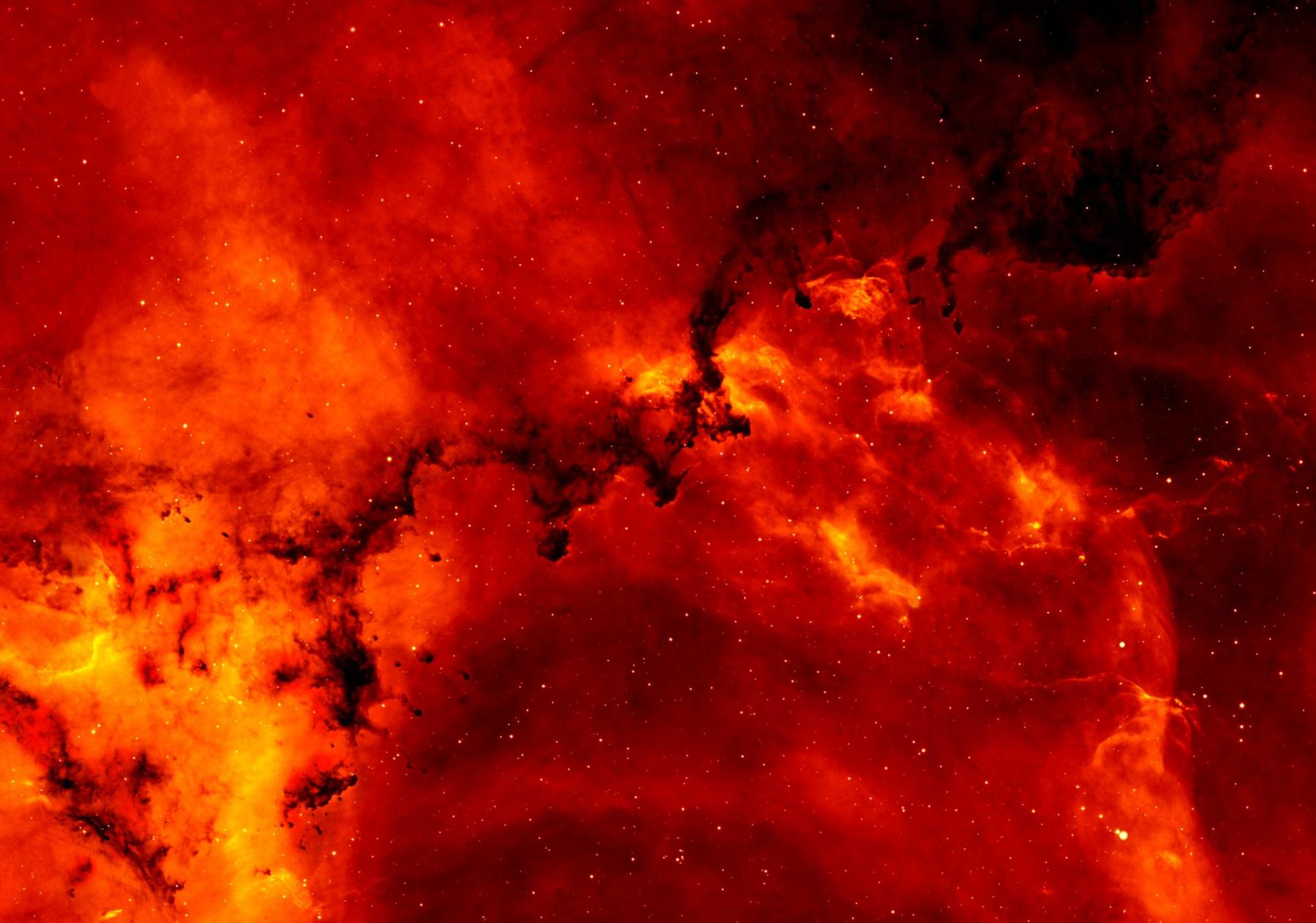 Hydrogen and Dust in the Rosette Nebula