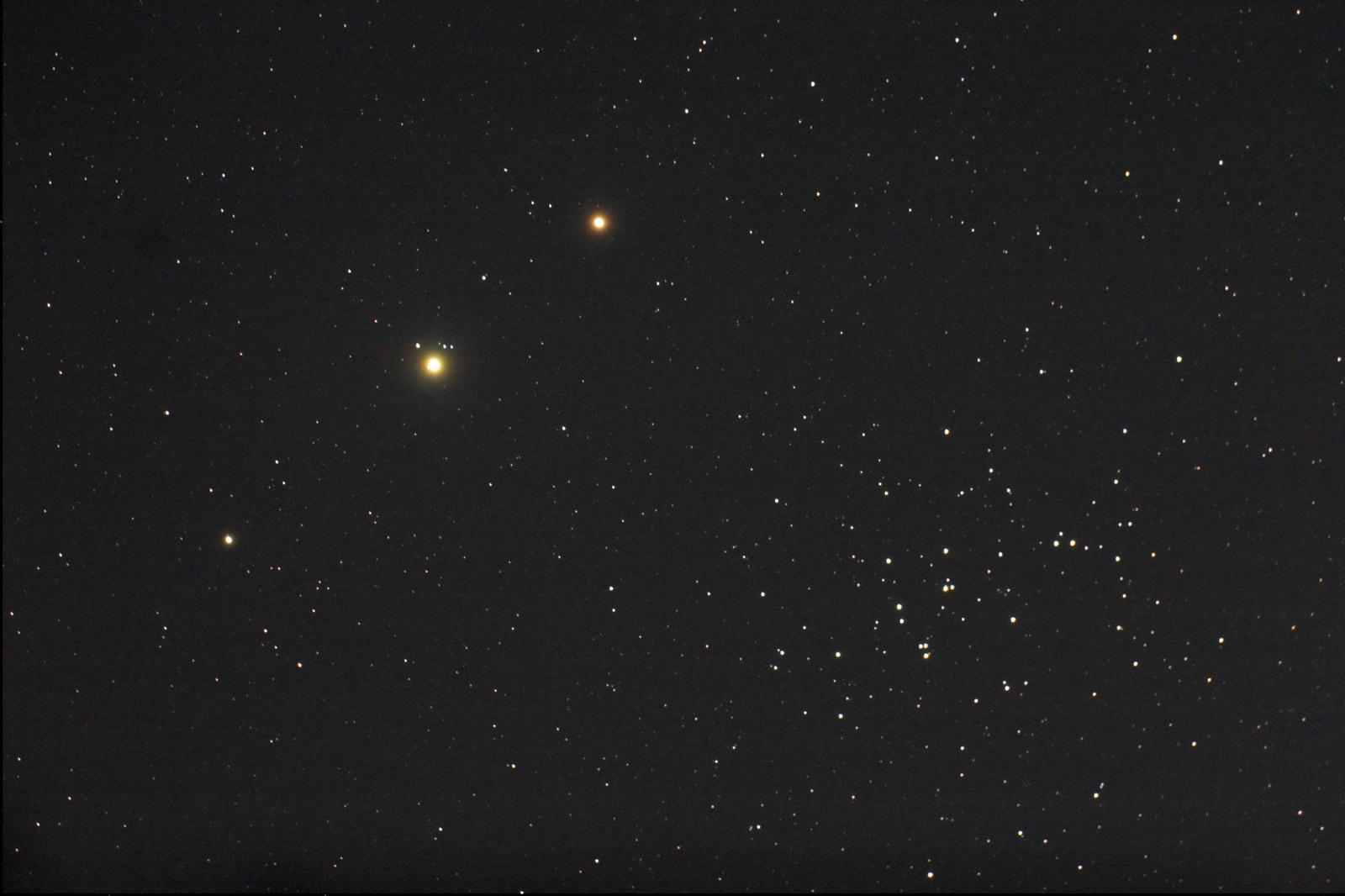 Planets, Bees, and a Donkey