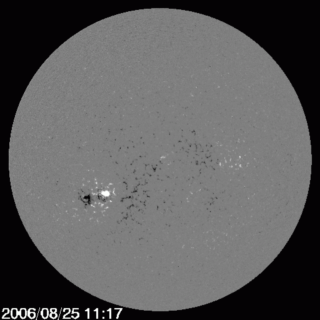 A Backward Sunspot and the New Solar Cycle