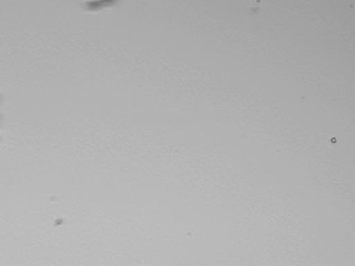 Help Search for Interstellar Dust