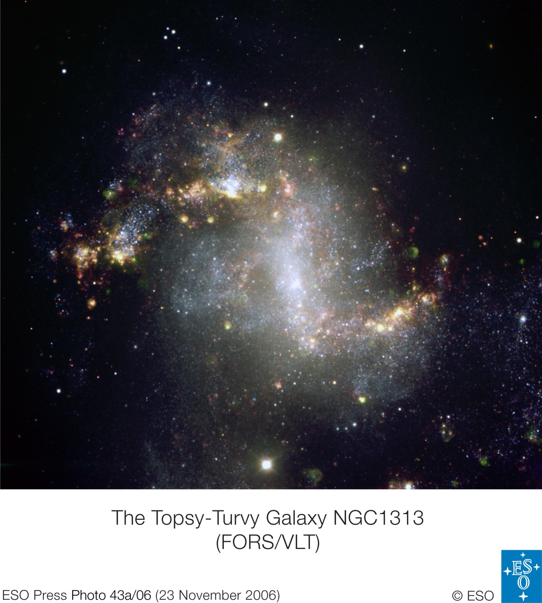 Unusual Starburst Galaxy NGC 1313