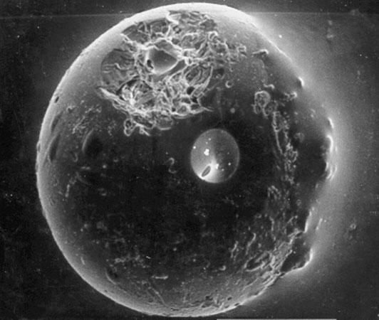 A Spherule from the Earth’s Moon
