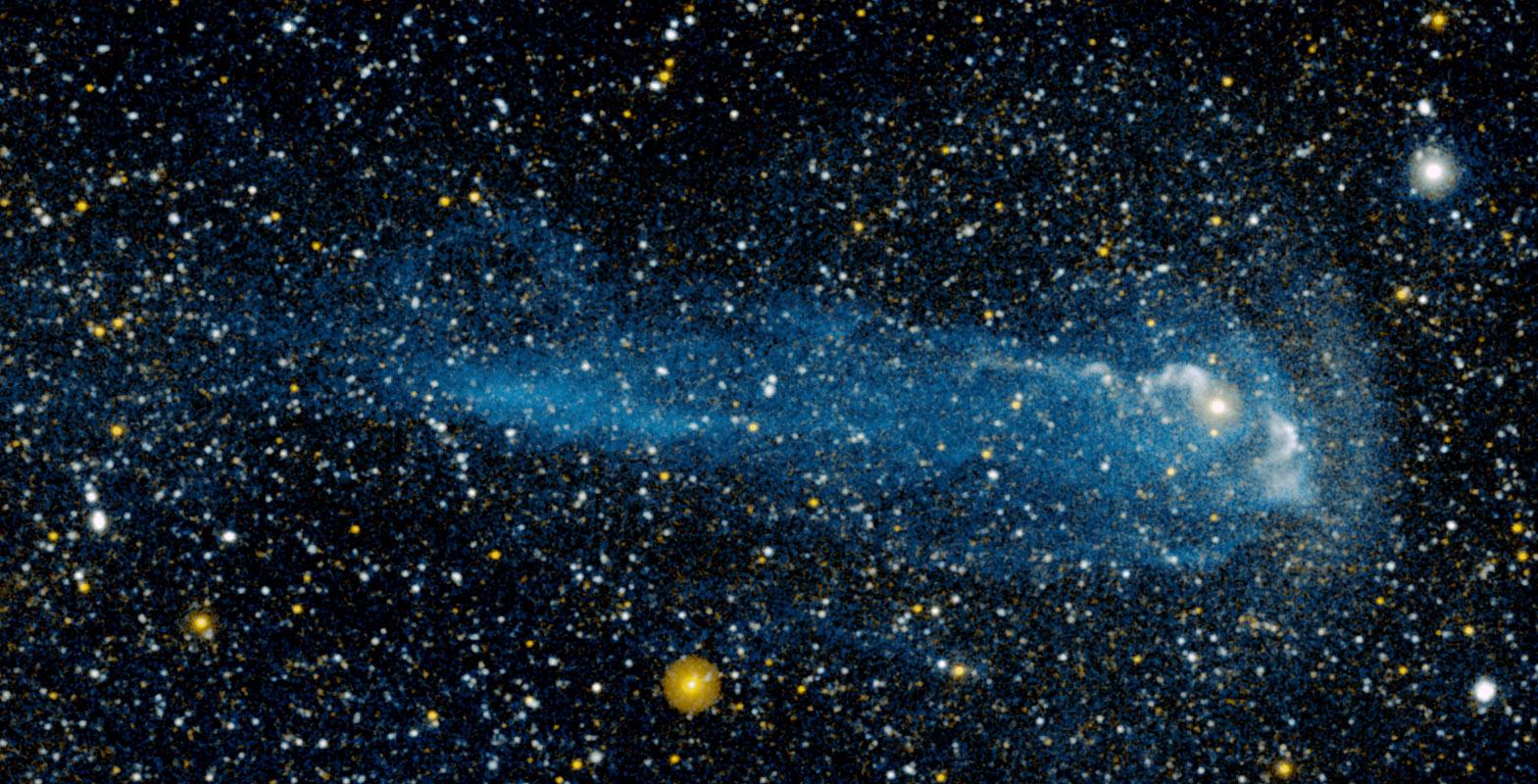 The Tail of a Wonderful Star