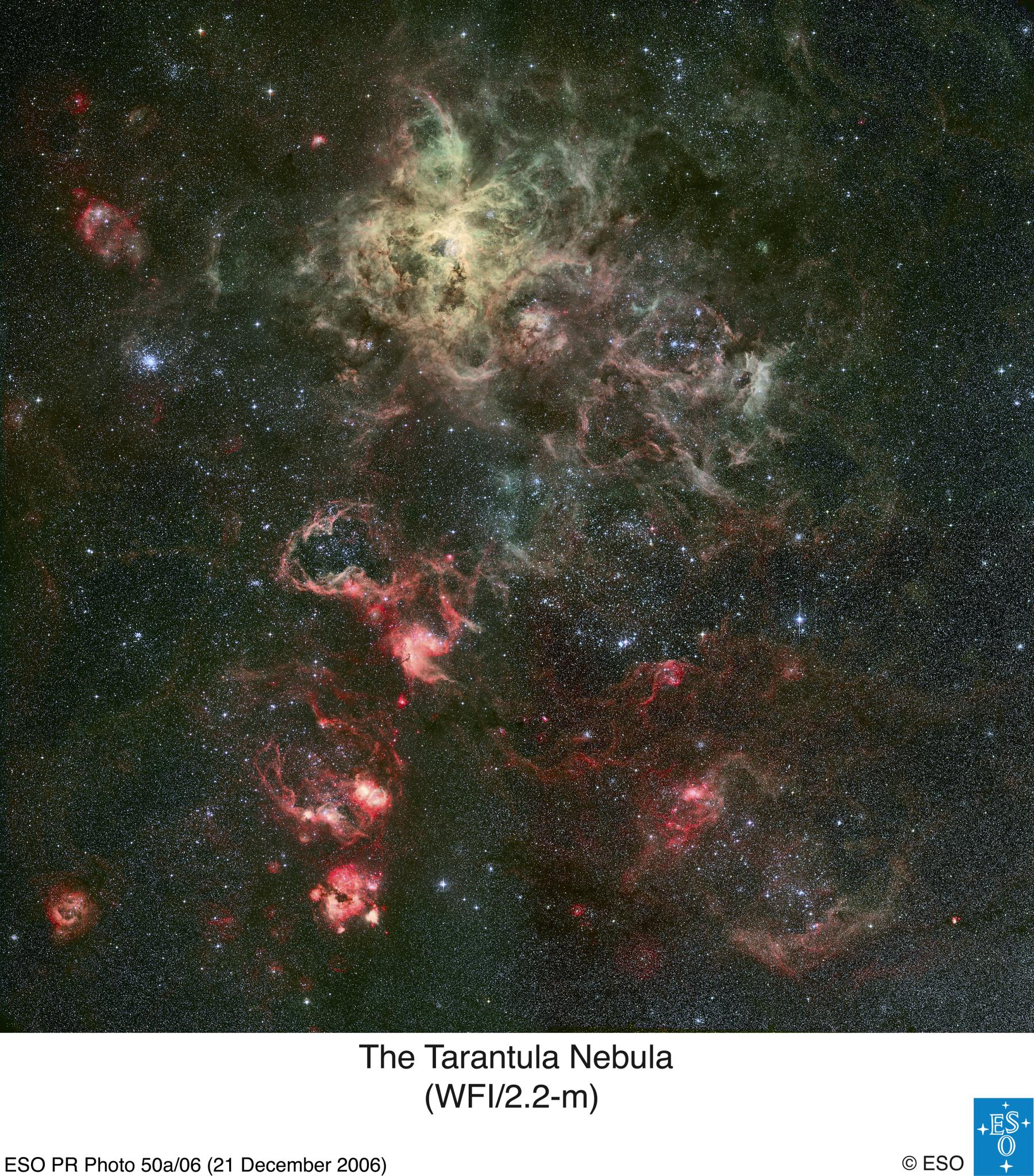 Tentacles of the Tarantula Nebula