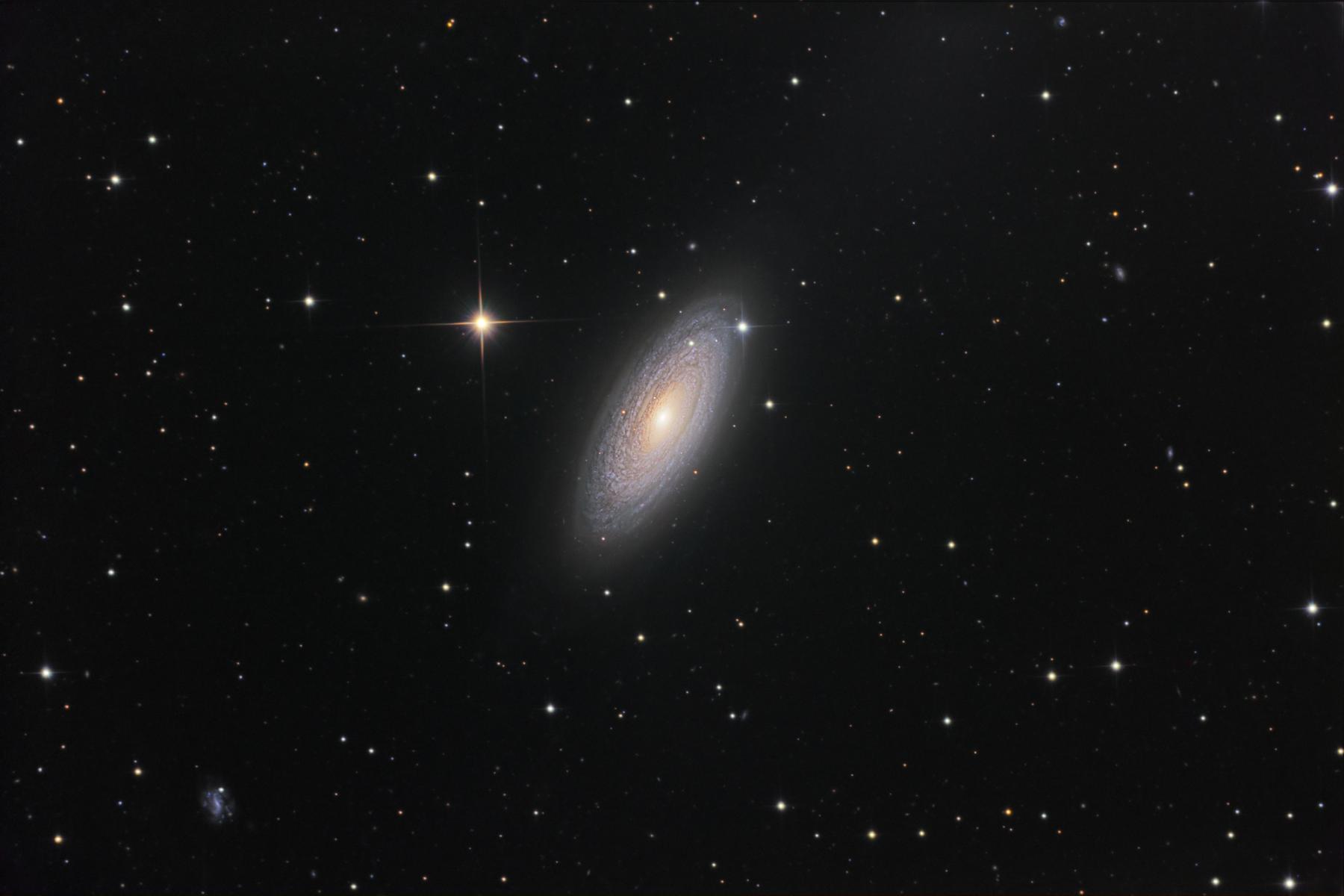 Spiral Galaxy NGC 2841