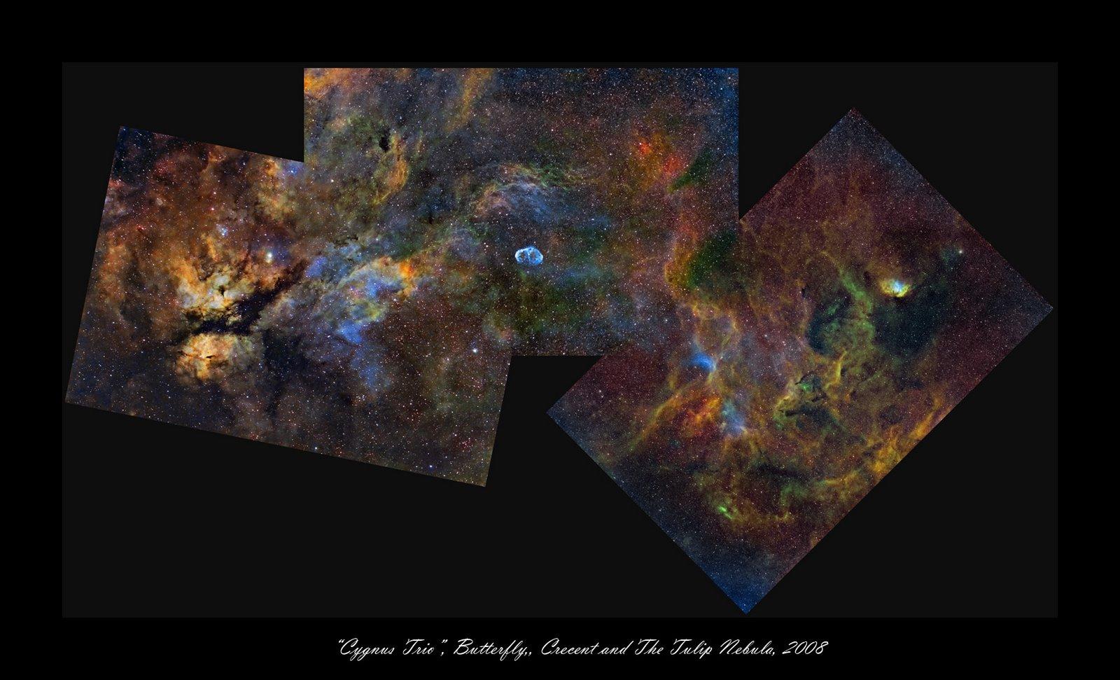 Cygnus Trio