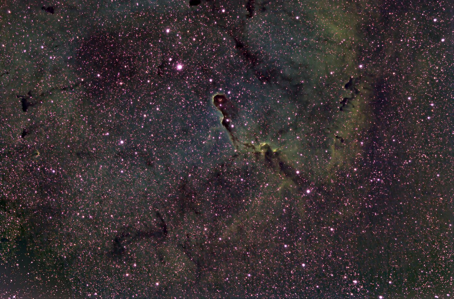 The Elephant’s Trunk in IC 1396