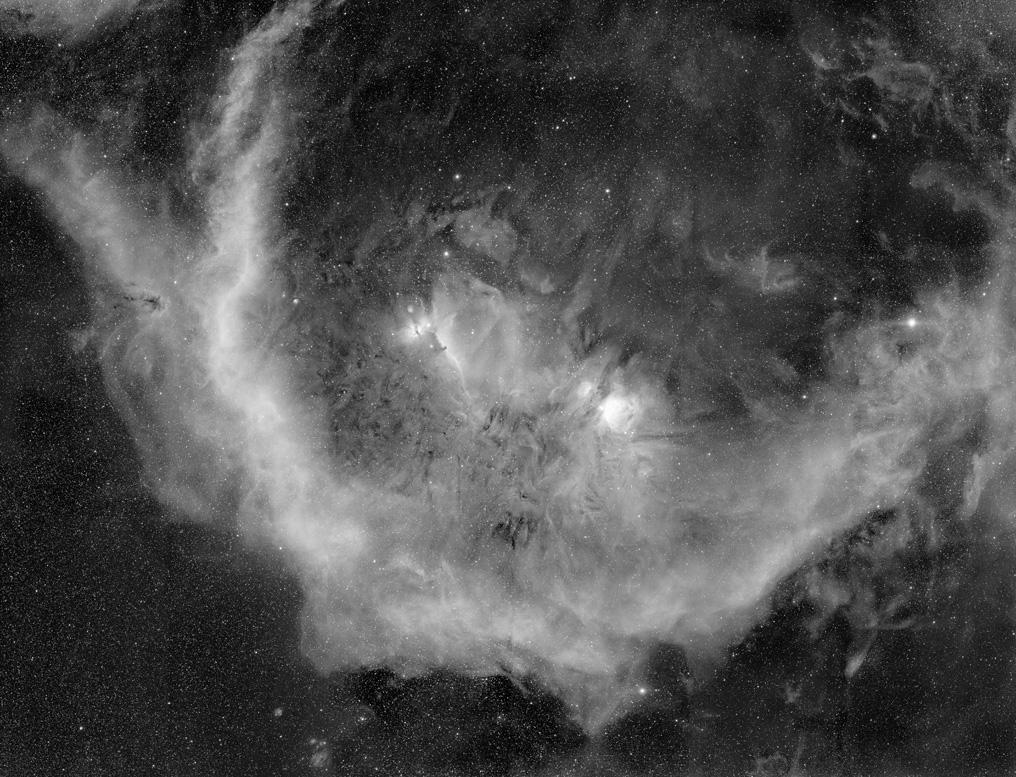 Barnard’s Loop around the Horsehead Nebula