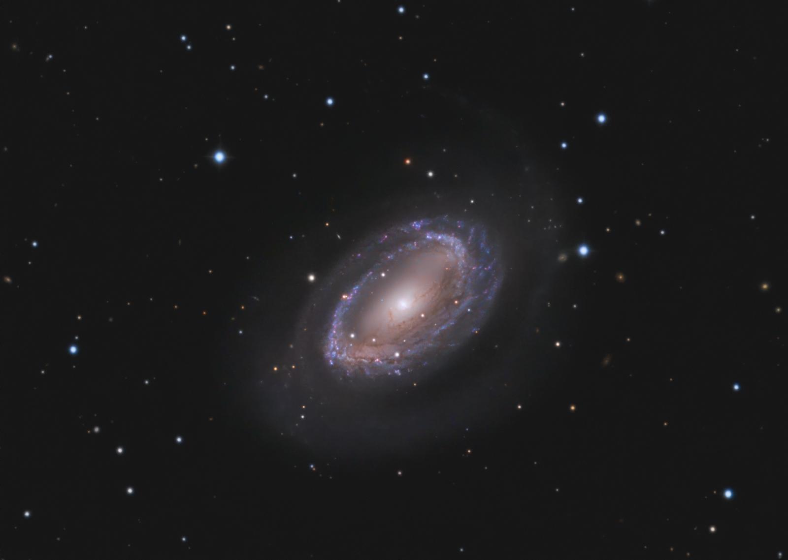 One Armed Spiral Galaxy NGC 4725