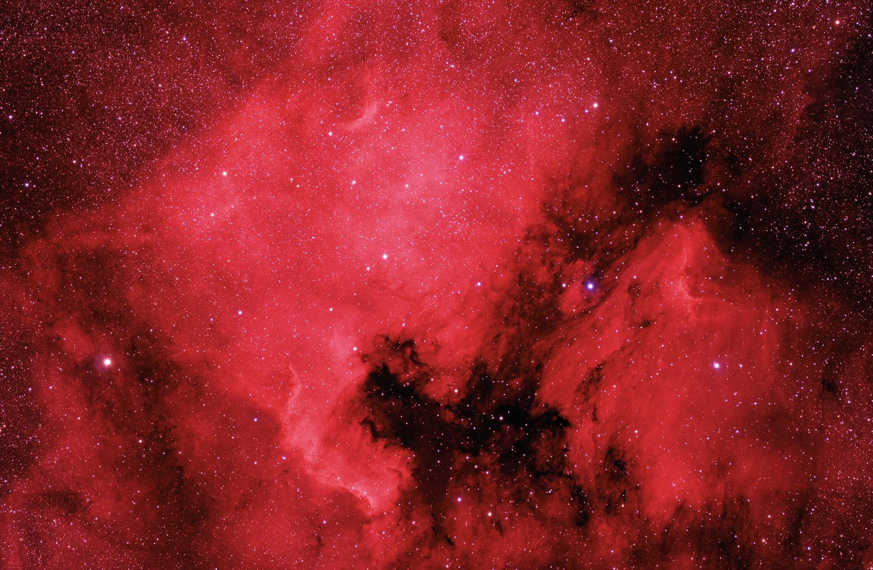 The North America and Pelican Nebulae