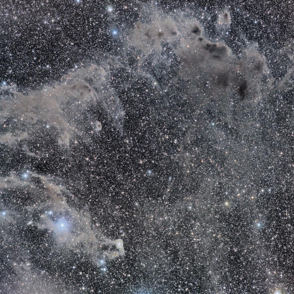 The Chameleon’s Dark Nebulae