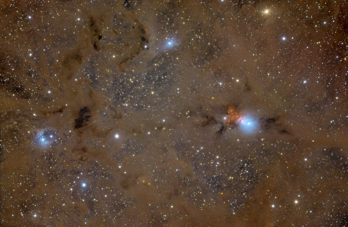 Stardust in Perseus