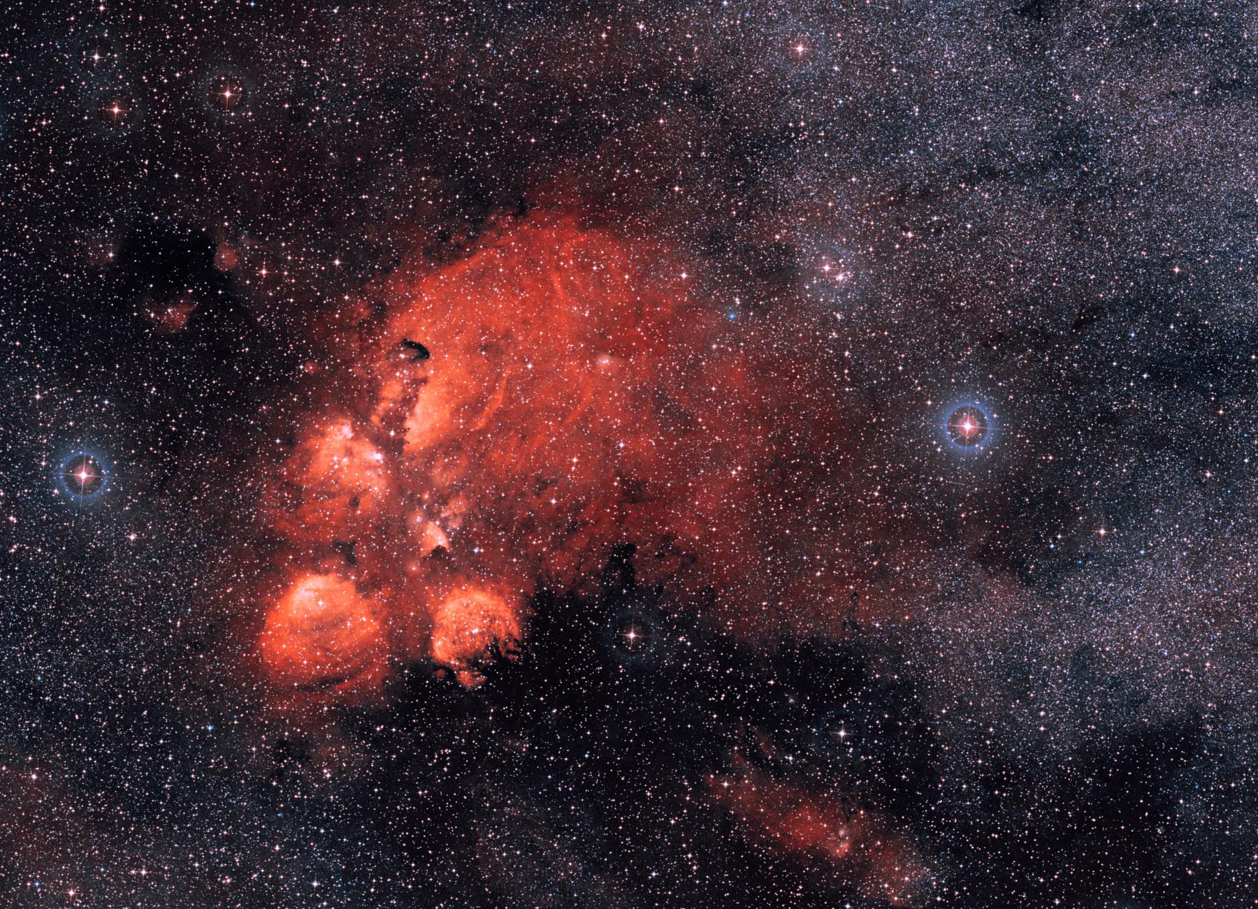 Wide Angle: The Cat’s Paw Nebula