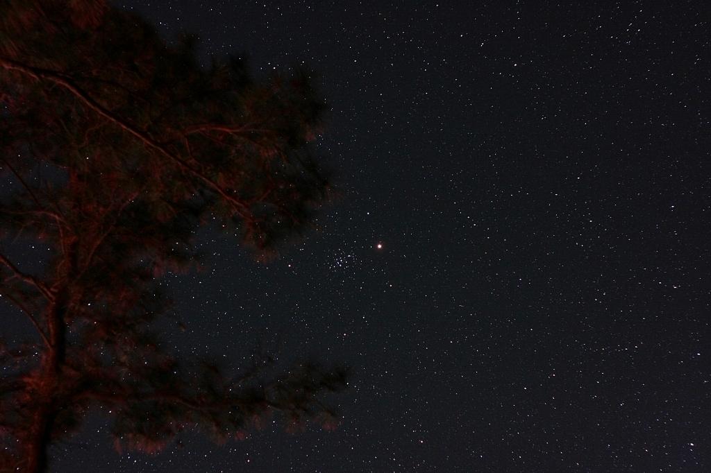 Mars in a Manger