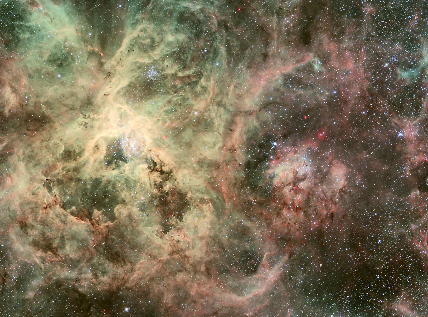 Tentacles of the Tarantula Nebula