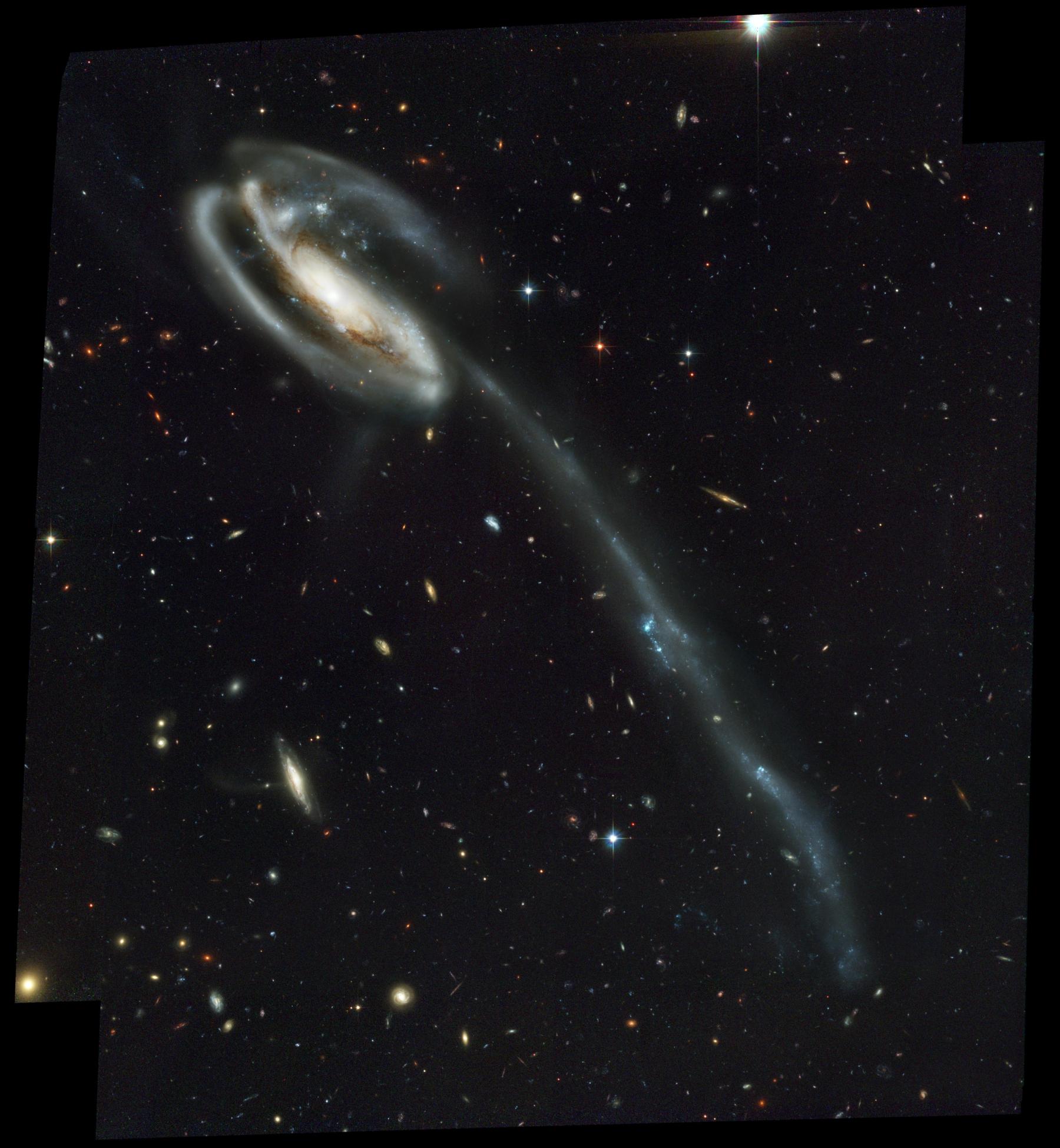 Arp 188 and the Tadpoles Tidal Tail