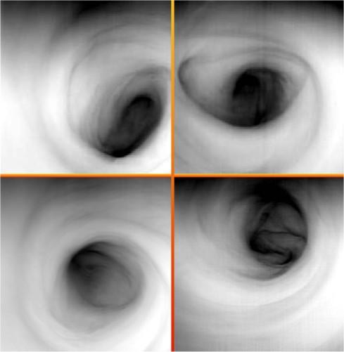 Venus South Polar Vortex