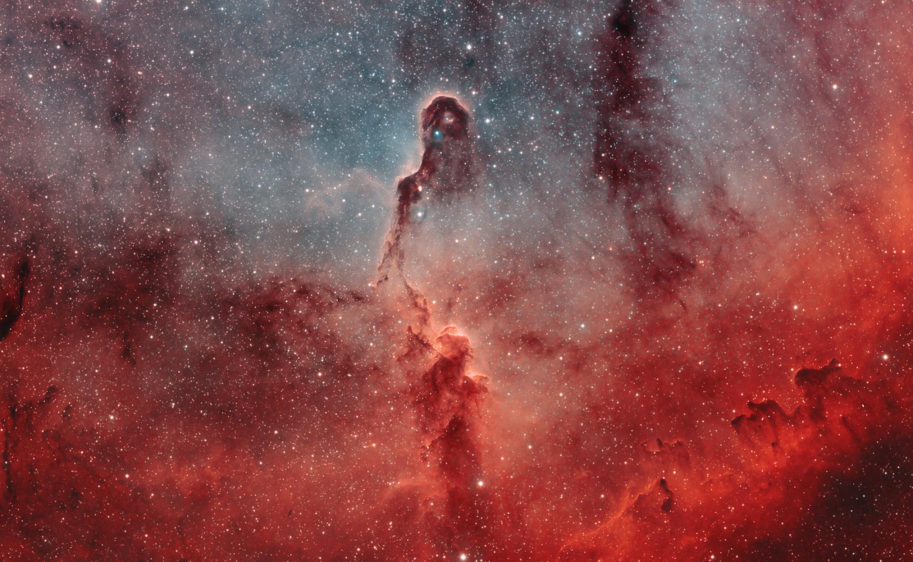 The Elephant’s Trunk in IC 1396