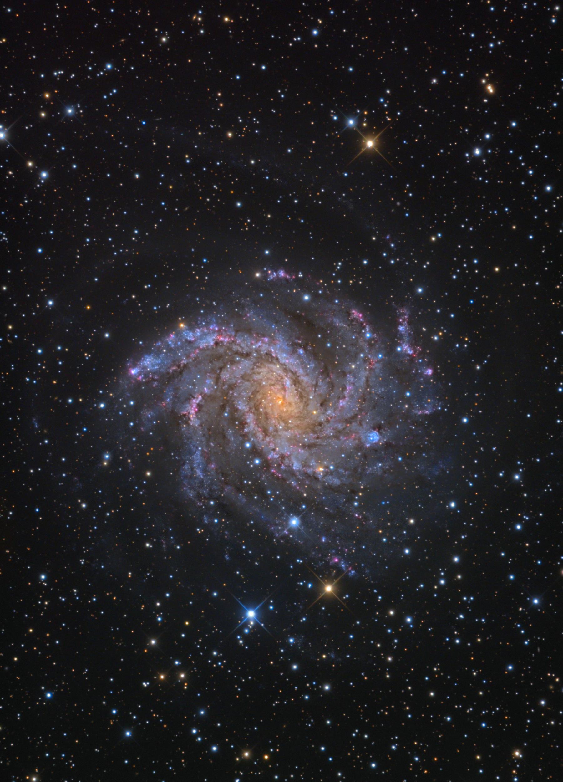 Fireworks Galaxy NGC 6946