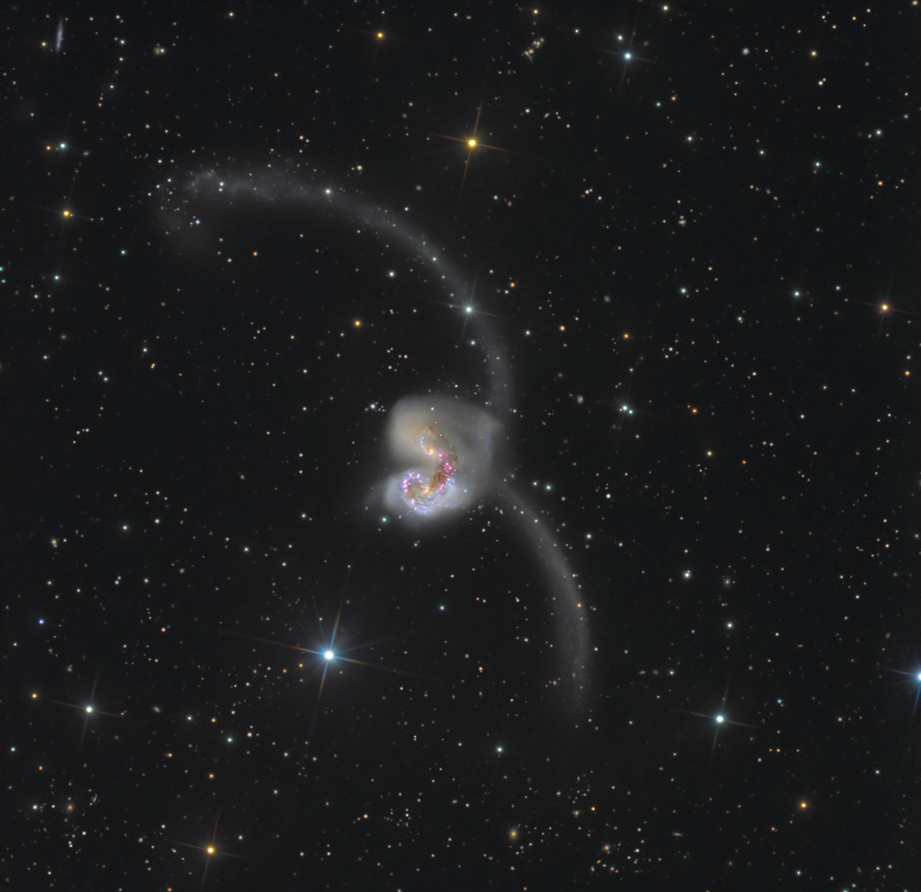 The Antennae