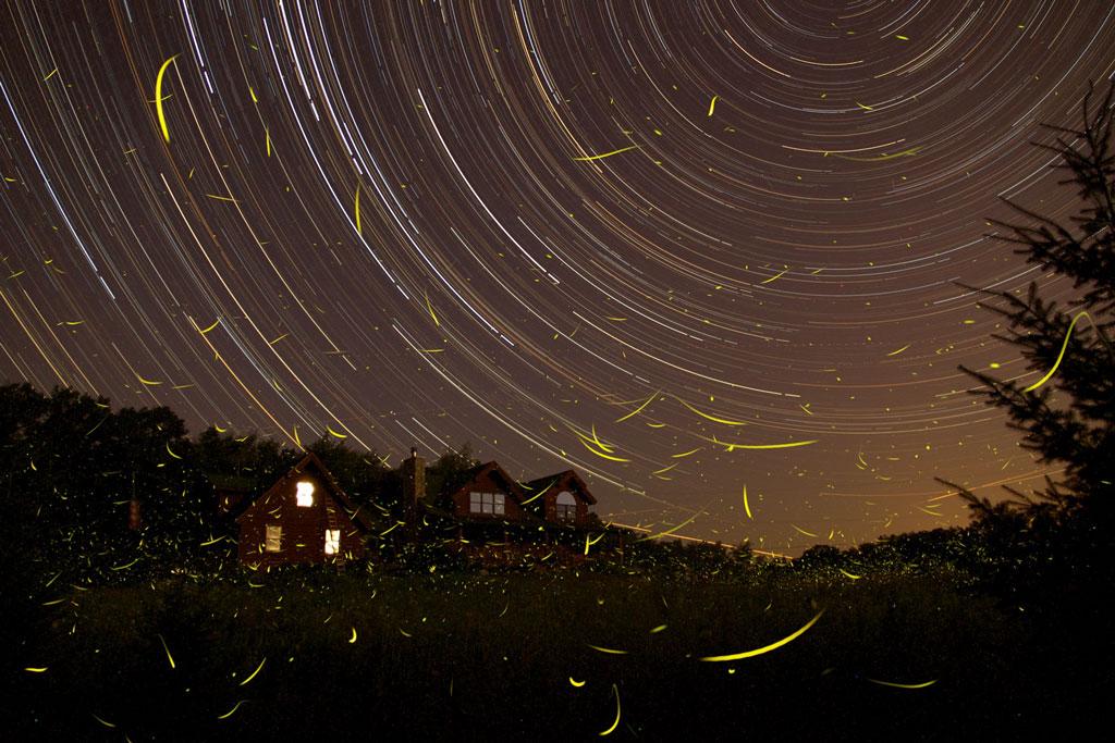 A Summer Night’s Dream