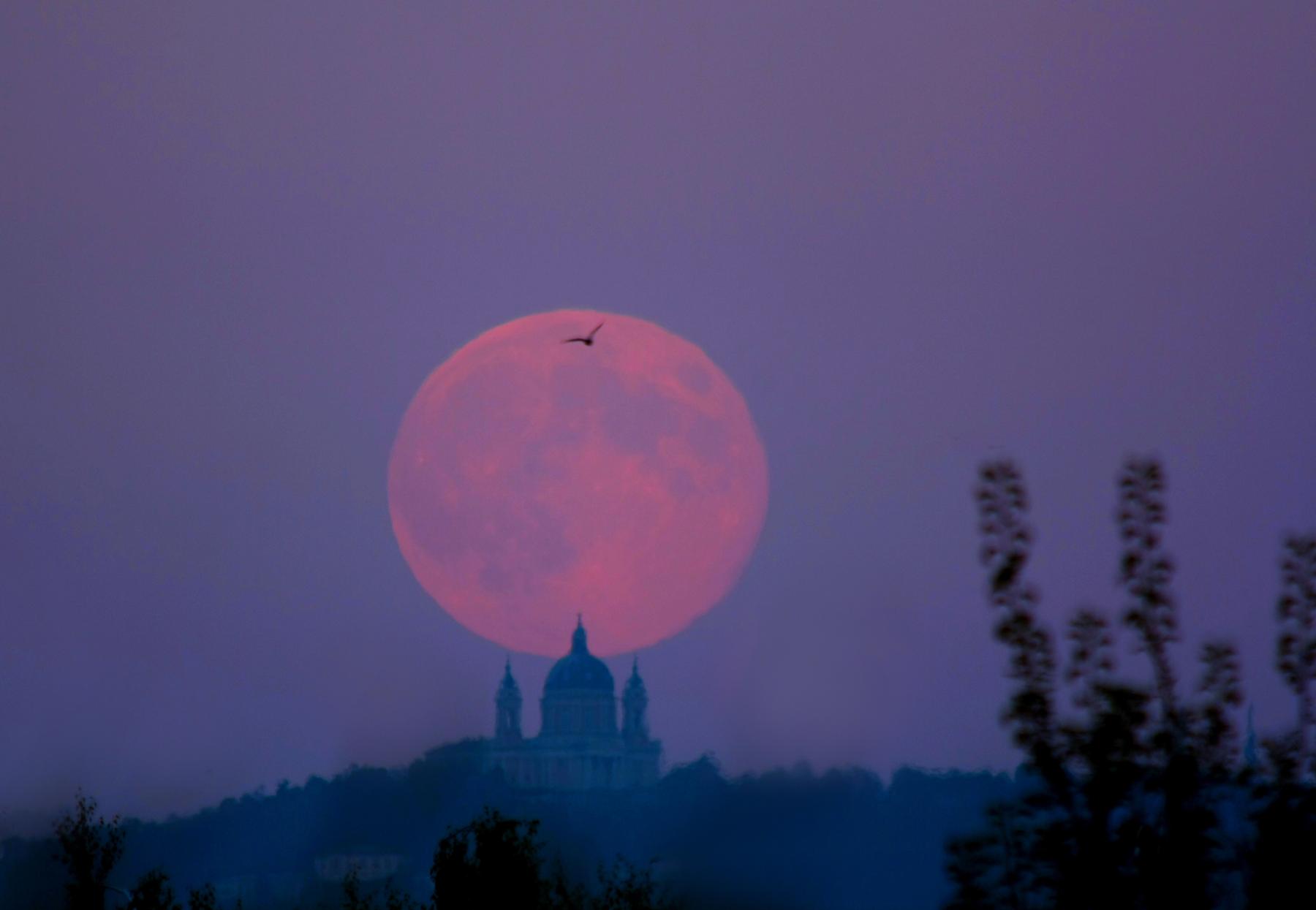 September’s Harvest Moon