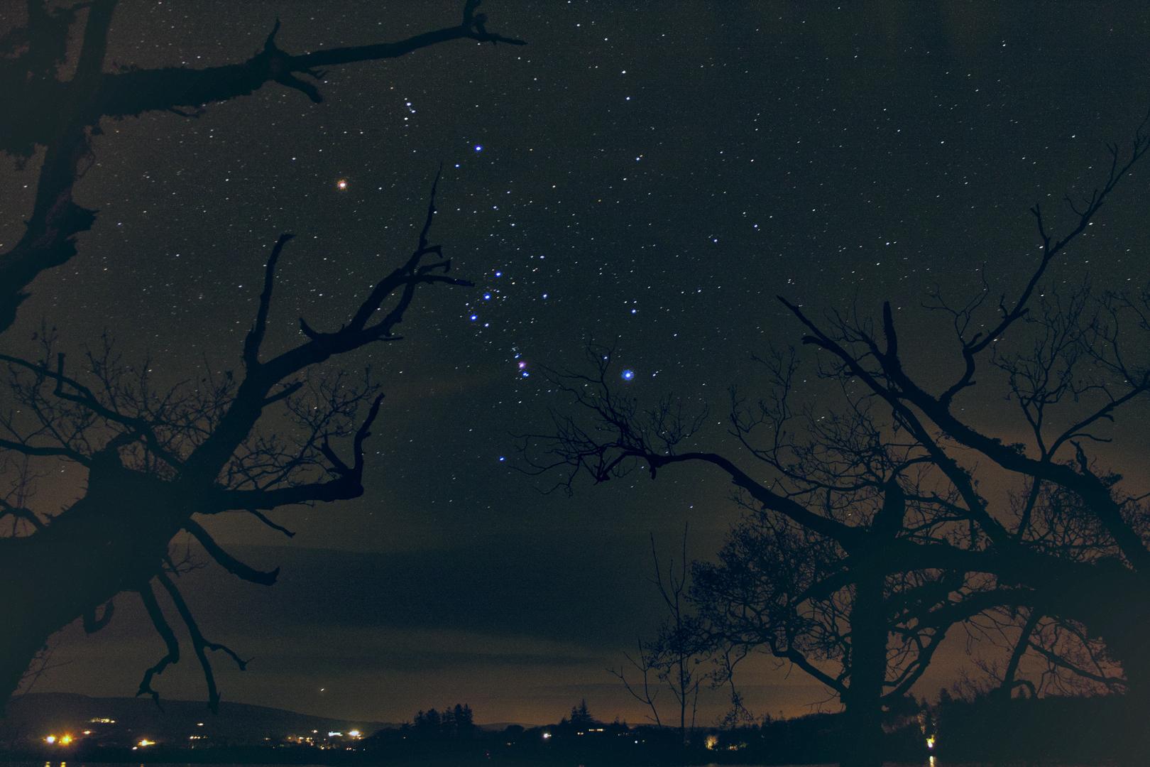 The Hunter’s Stars