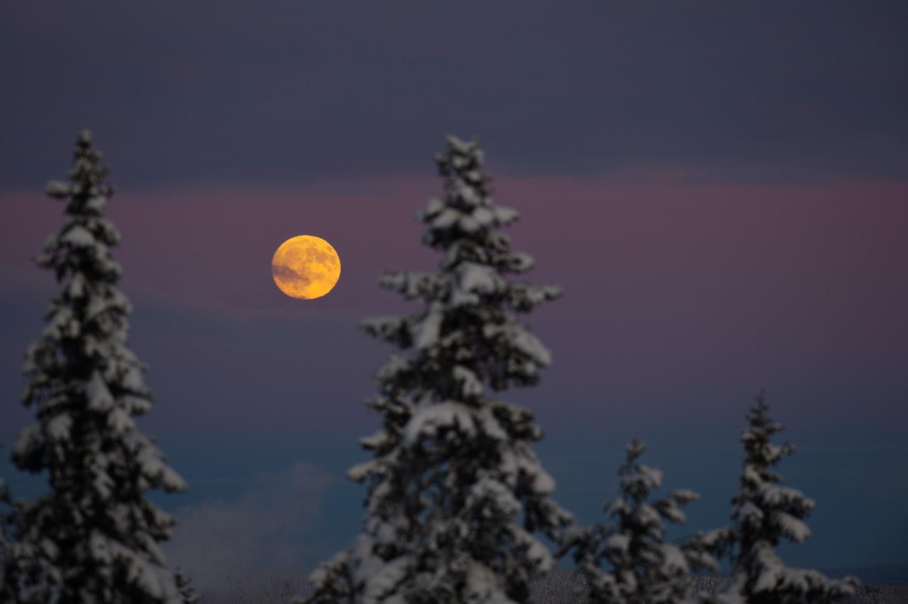 The Wolf’s Moon