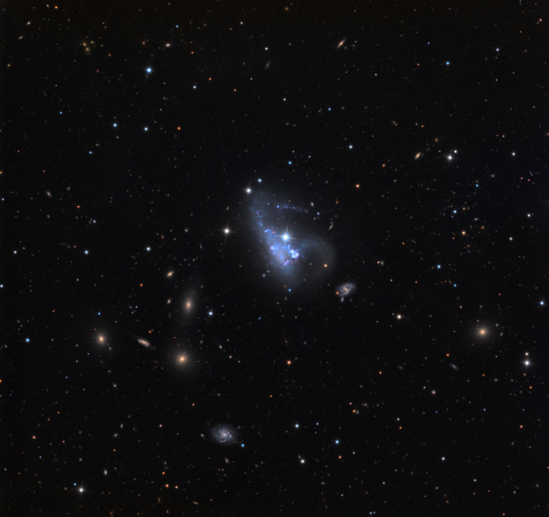 NGC 3239 and SN 2012A