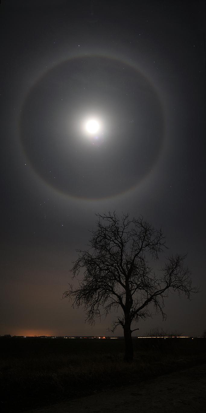A February Moon Halo