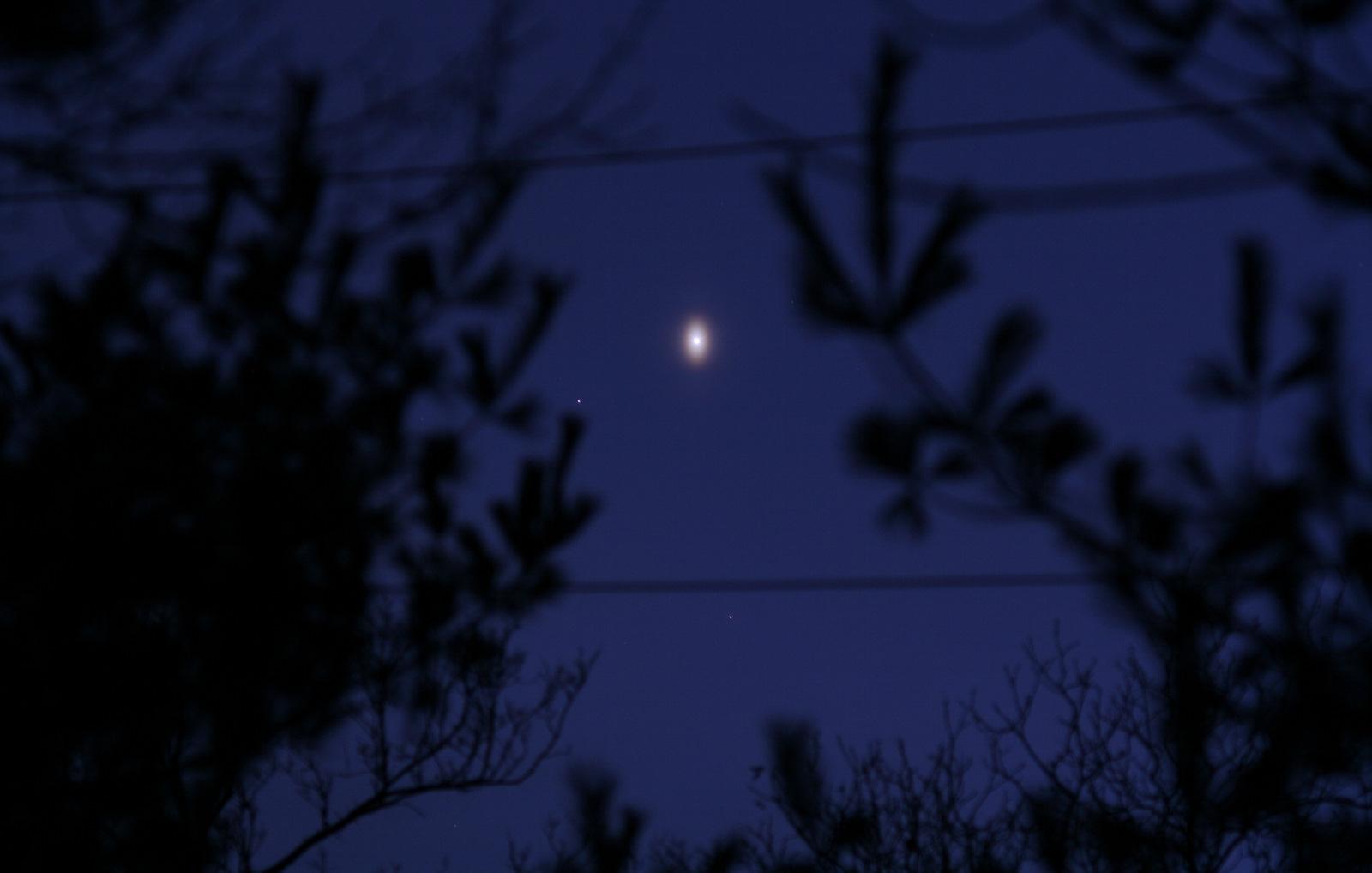 An Unusual Venusian Oval