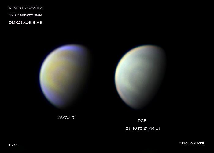 Multicolor Venus