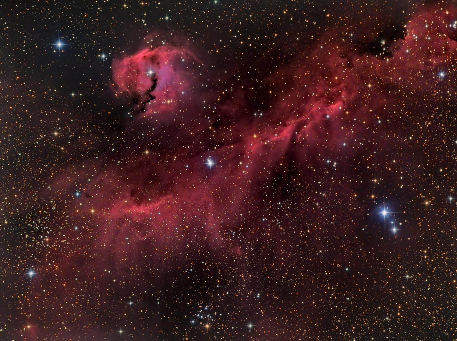 The Seagull Nebula