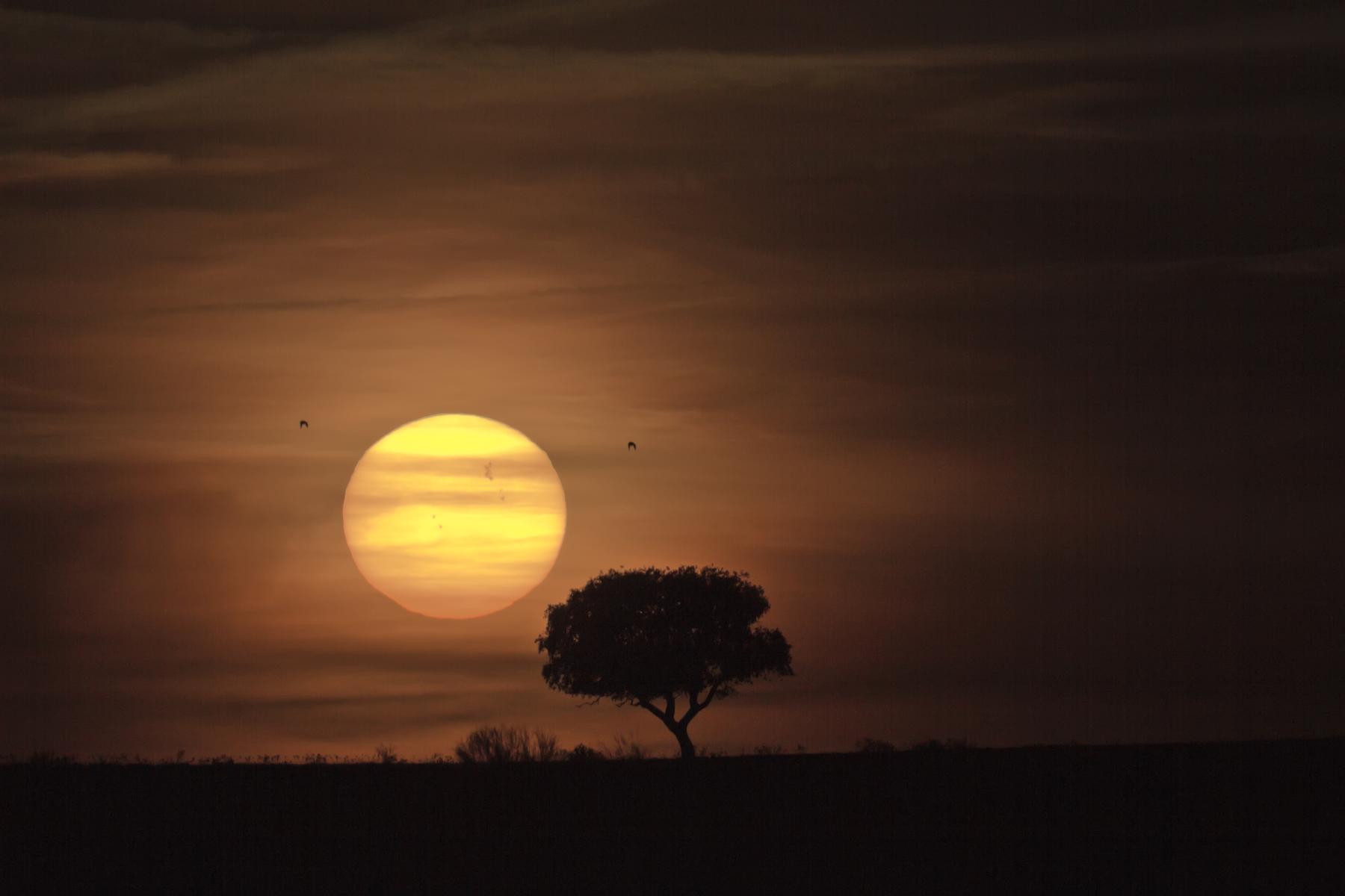 Sunspot Group 1429 and the Distant Sun