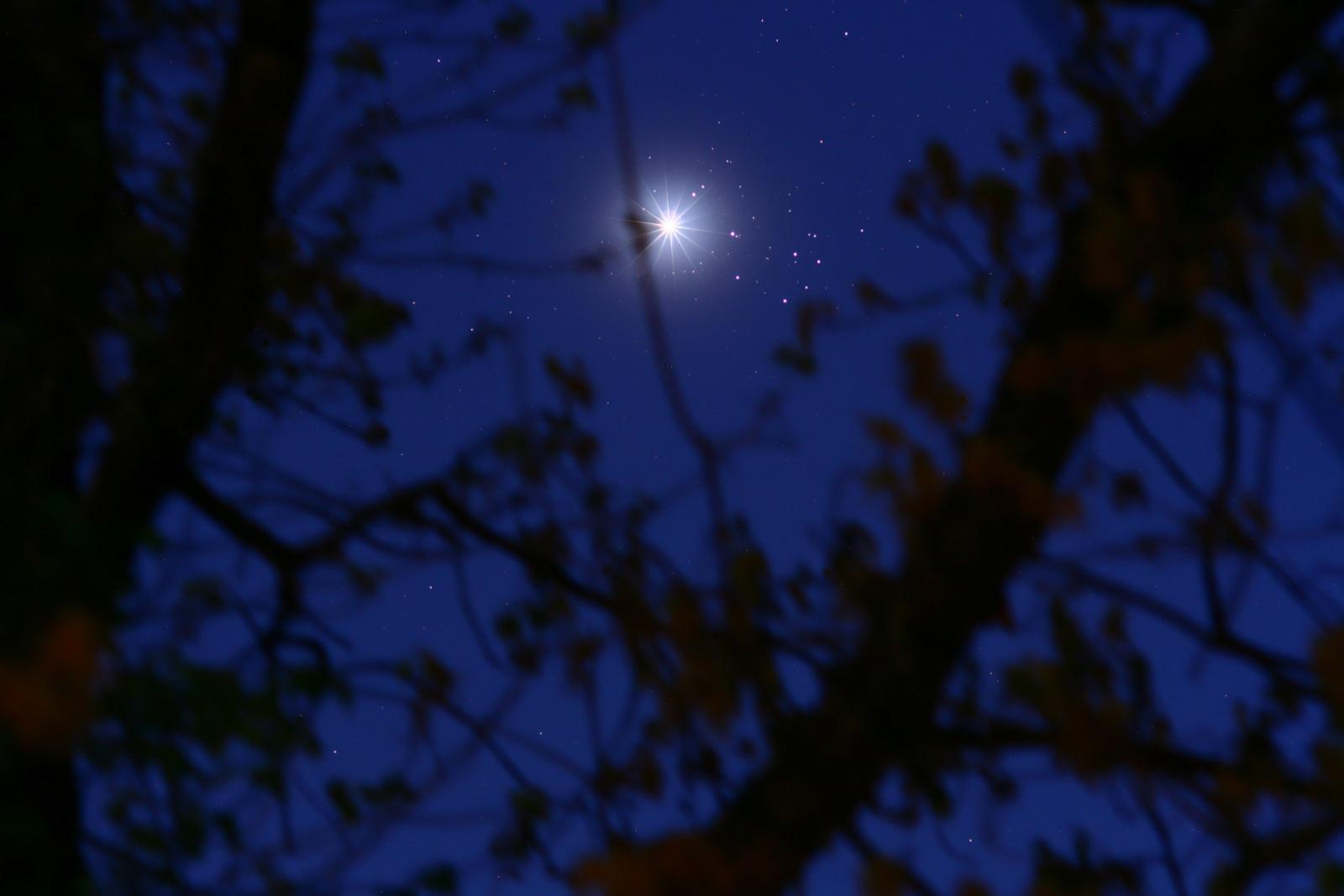 Conjunction Haiku