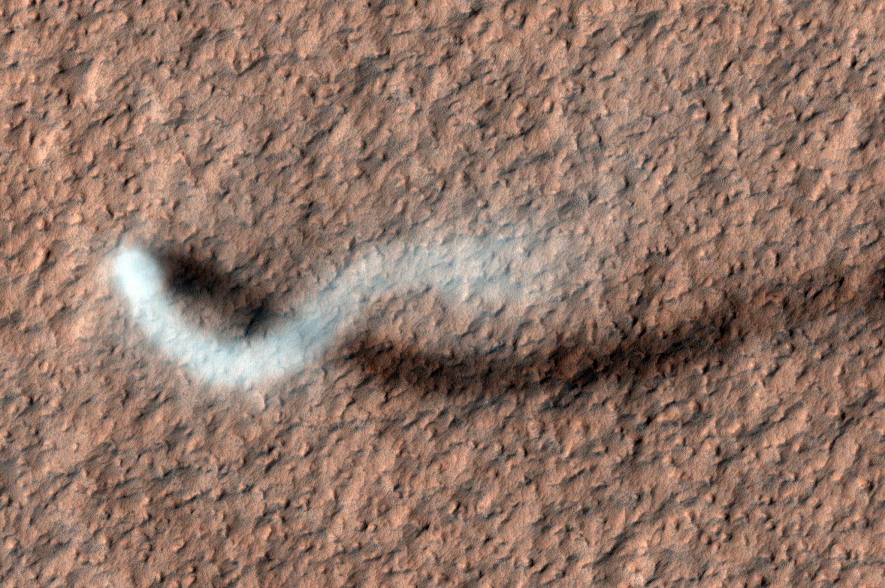 A Dust Devil of Mars