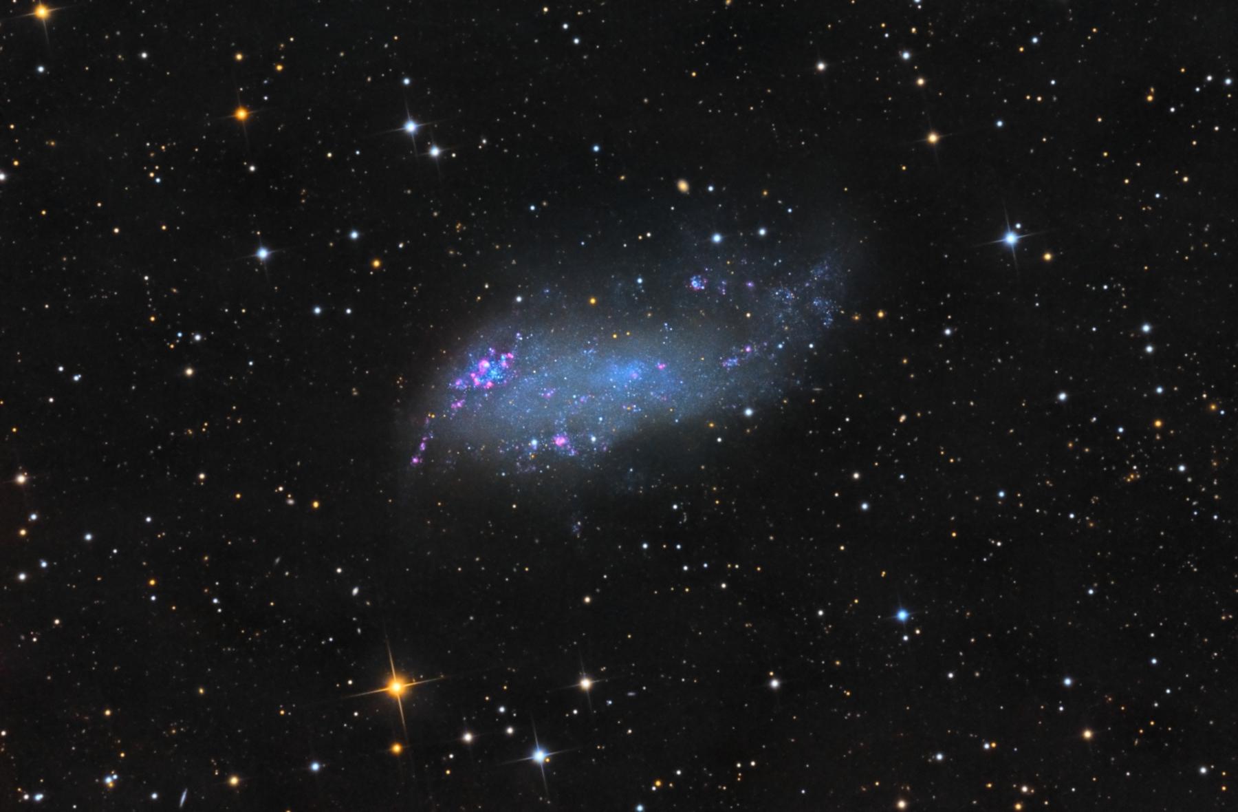 IC 2574: Coddington’s Nebula