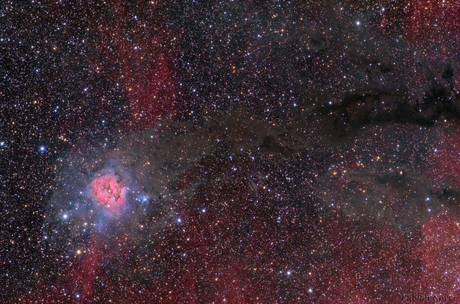 Cocoon Nebula Wide Field