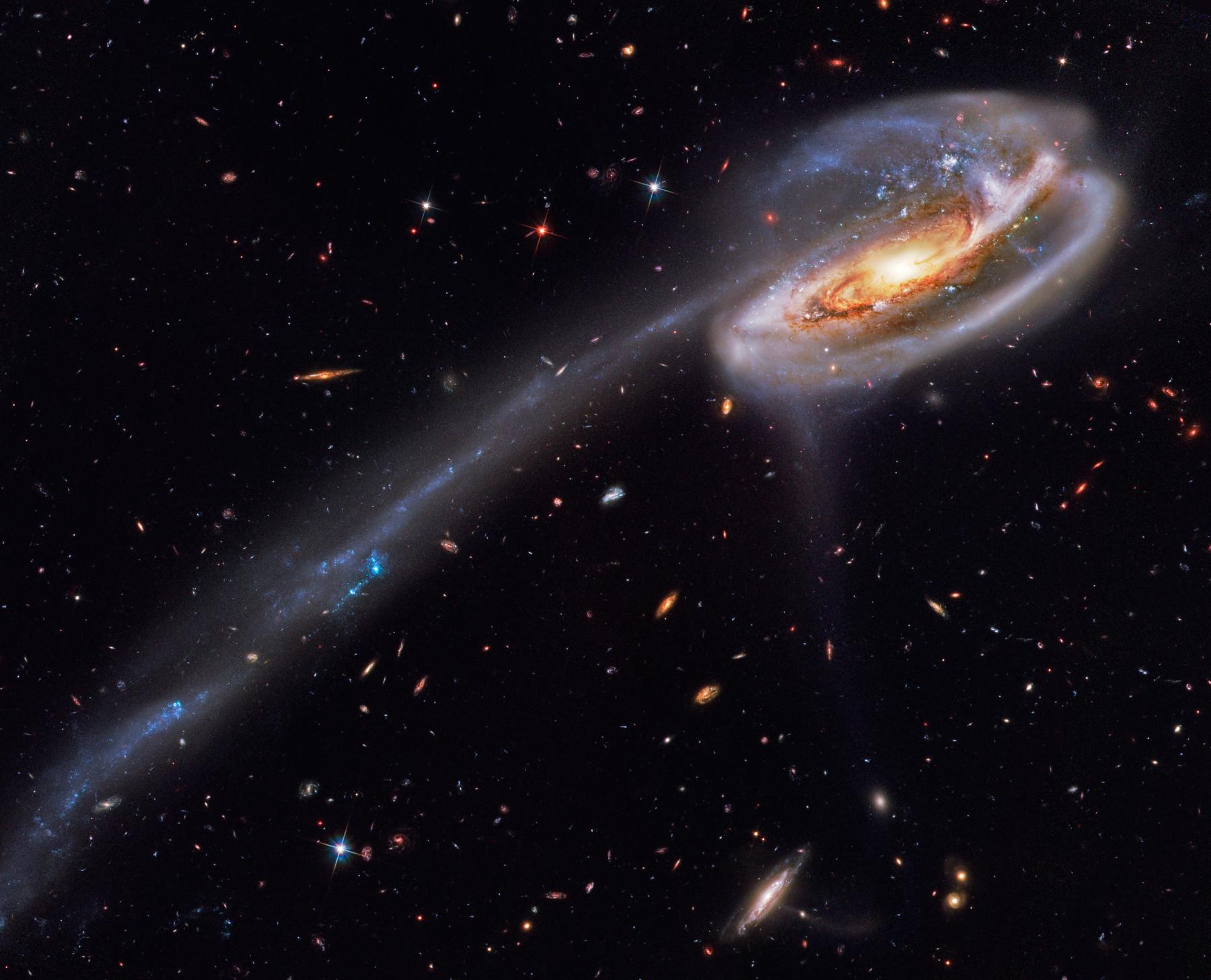 Arp 188 and the Tadpole’s Tail