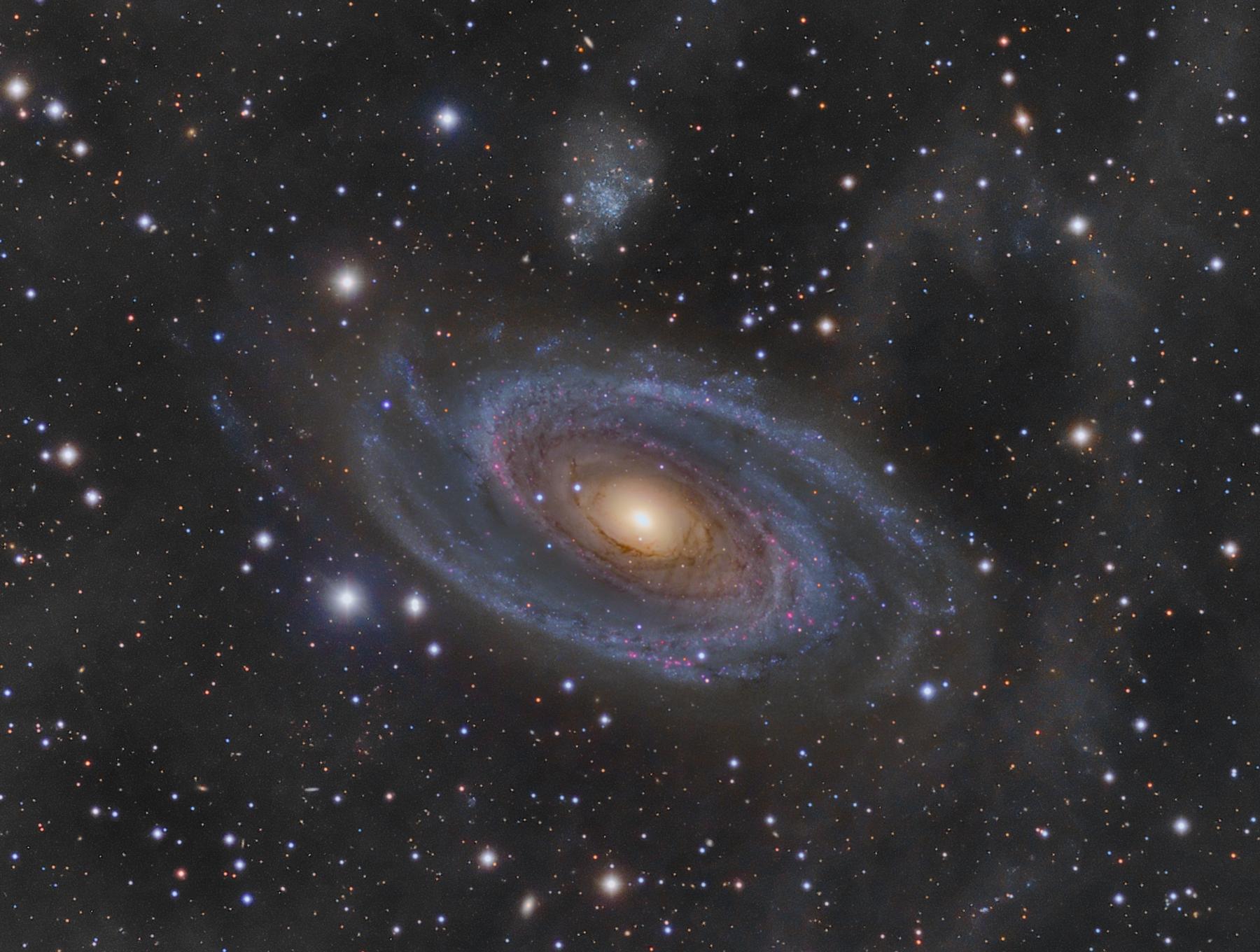 Grand Spiral Galaxy M81 and Arp’s Loop