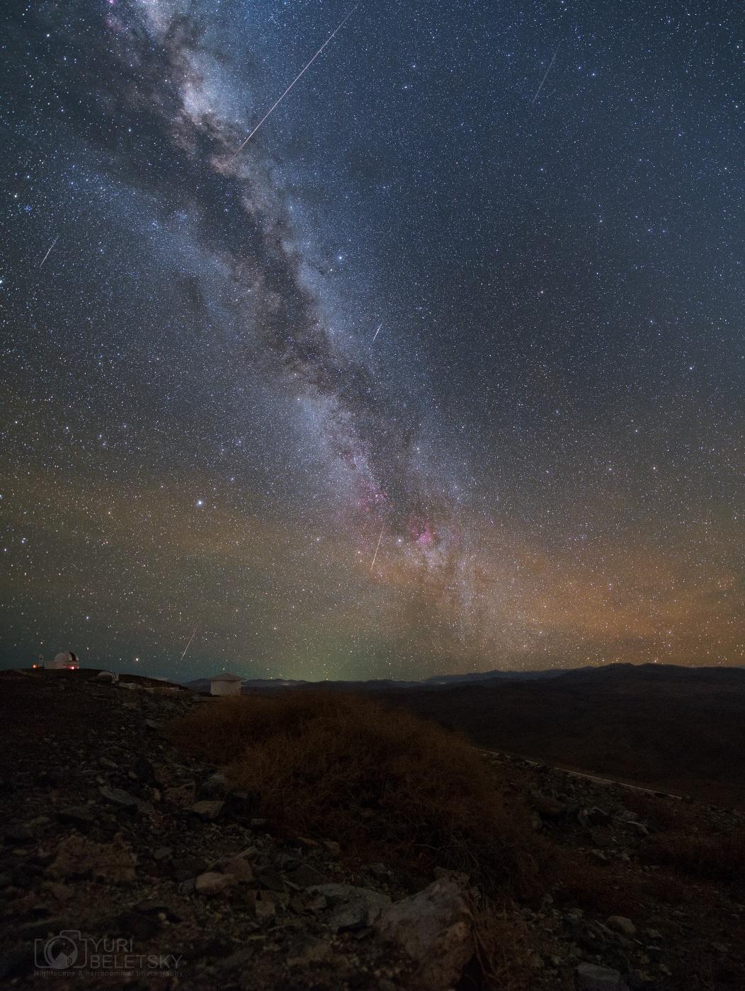 Delphinid Meteor Mystery