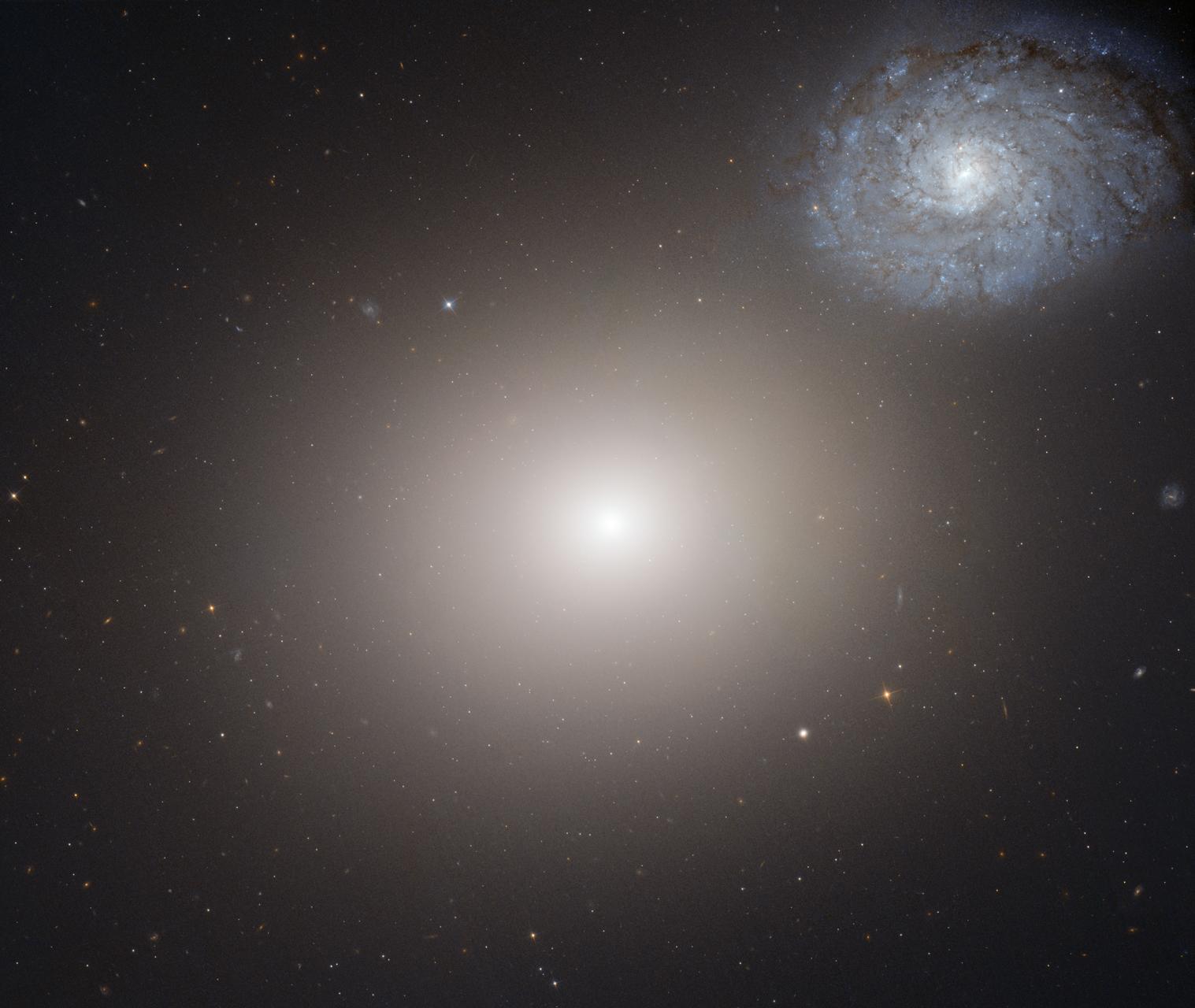 The Densest Galaxy
