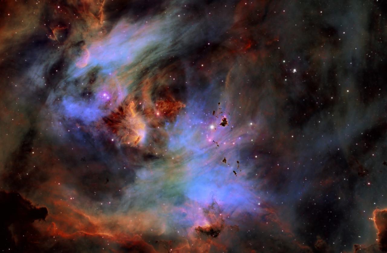 Globules in the Running Chicken Nebula
