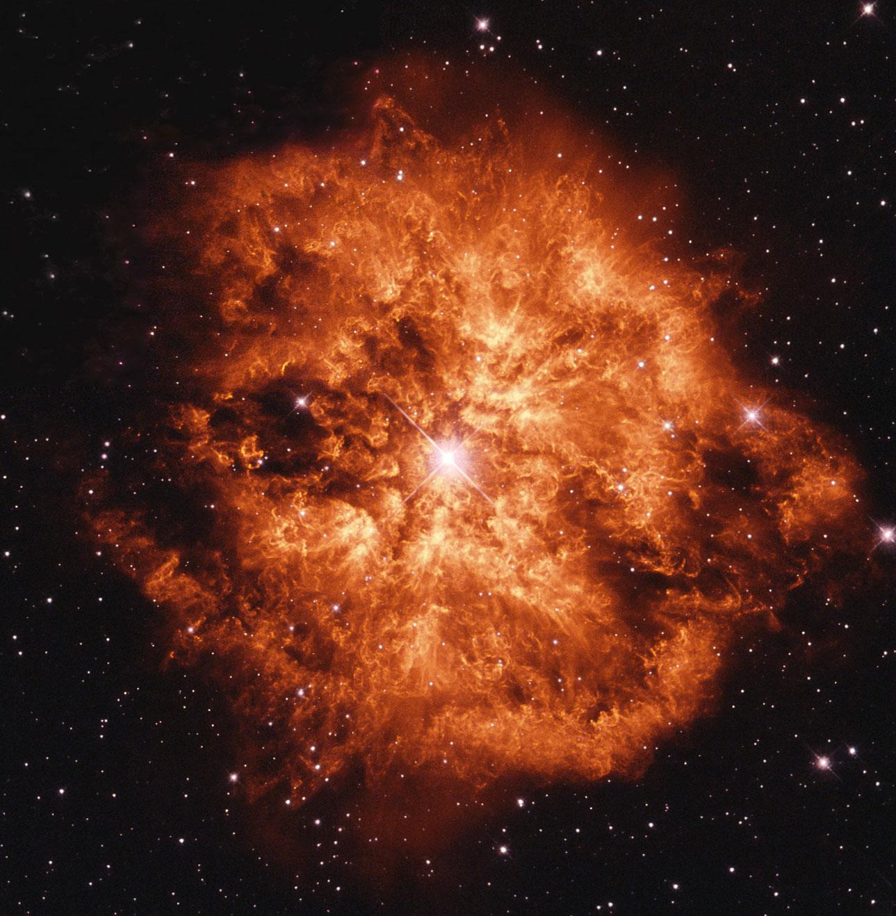 Wolf Rayet Star 124: Stellar Wind Machine