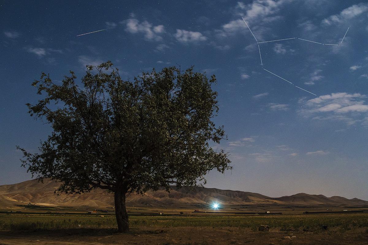 Perseid in Moonlight